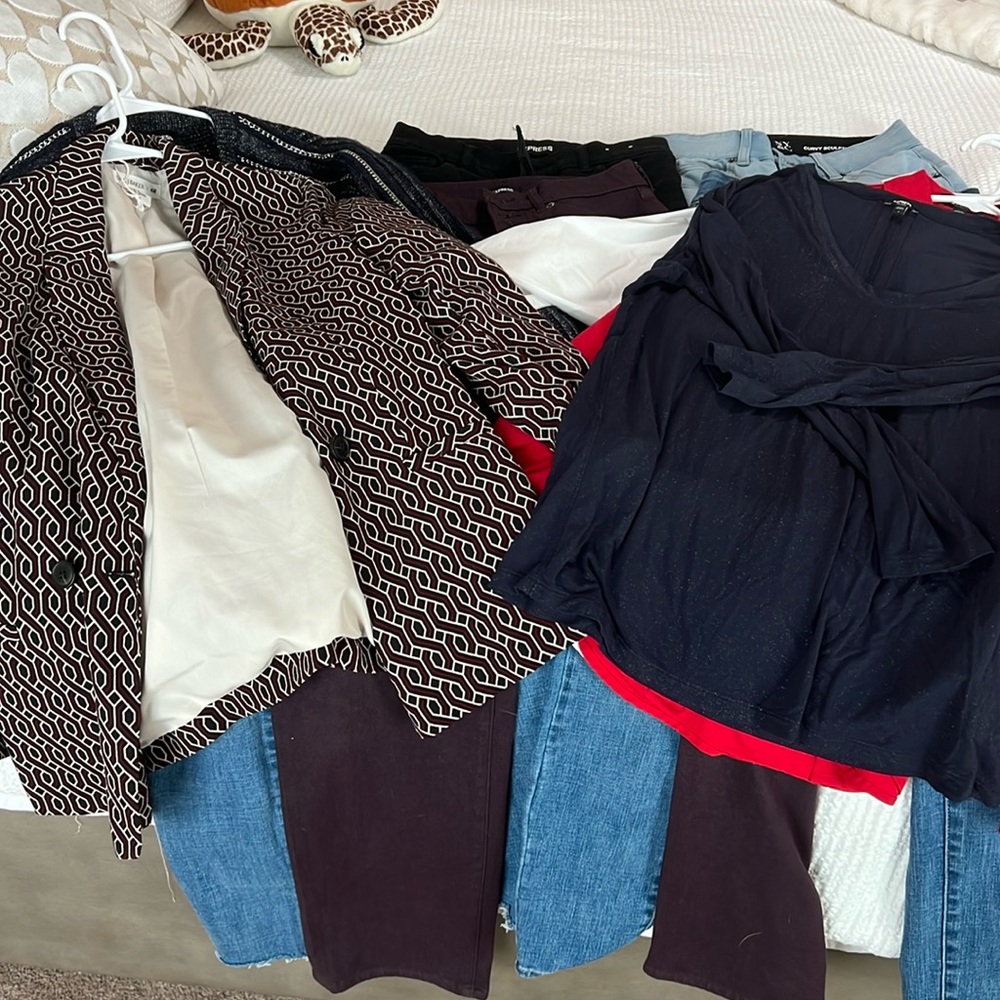 Express/ New York and Co Bundle
